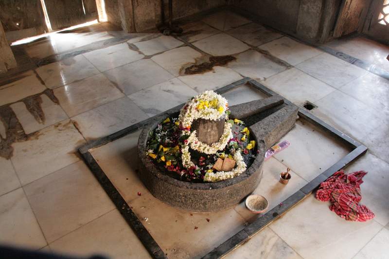 India & Nepal 2011 - 0839